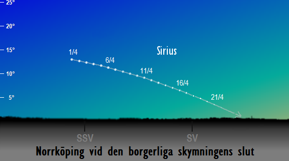 Grafiken visar Sirius position på himlen sedd från Norrköping vid den borgerliga skymningens slut