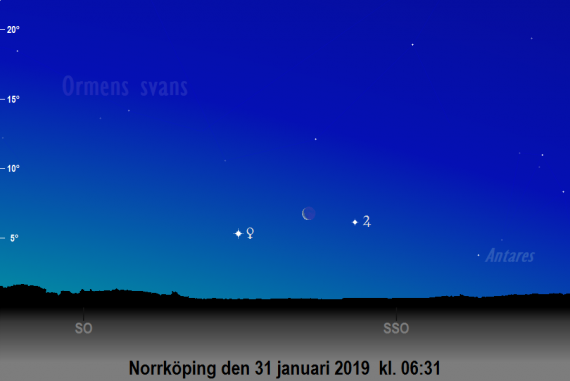 Venus, månens och Jupiters position på himlen den 31 januari 2019 kl. 06:31 (vid den nautiska gryningens början) sedd från Norrköpings breddgrad (58,6°n)