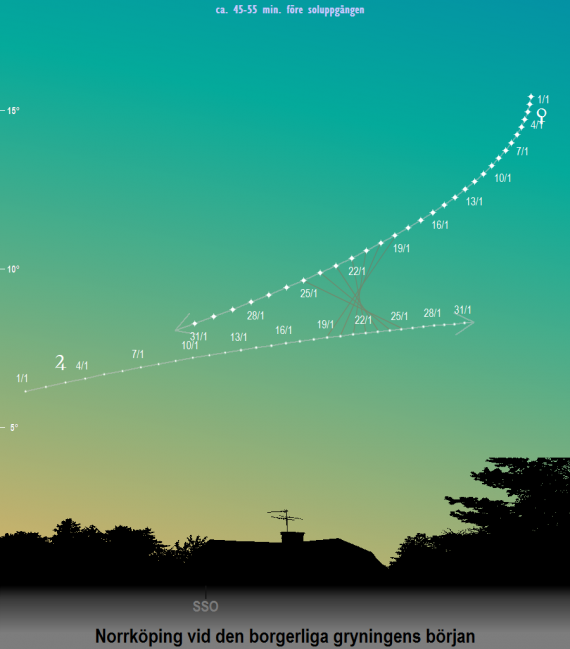 Venus och Jupiters position på himlen vid den borgerliga gryningens början i januari 2019 sedd från Norrköpings breddgrad (58,6°n)