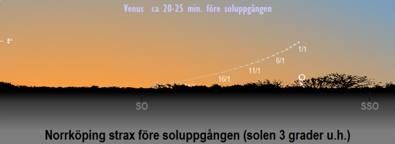 Venus position på himlen när solen befinner sig 3 grader under horisonten (ca 20-25 minuter före soluppgången) i januari 2021 (sedd från Norrköpings breddgrad, 58,6°n)