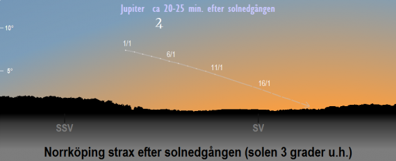 Jupiters position på himlen när solen befinner sig 3 grader under horisonten (ca 20-25 minuter efter solnedgången) i januari 2021 (sedd från Norrköpings breddgrad, 58,6°n)