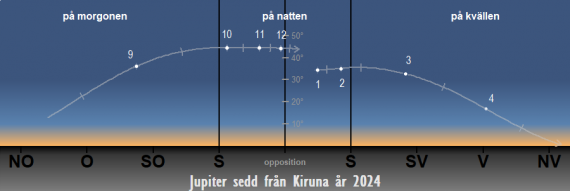 Så syns Jupiter på himlen under året 2024 (från Kirunas breddgrad 67,4°n)