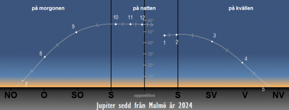Så syns Jupiter på himlen under året 2024 (från Malmös breddgrad 55,6°n)